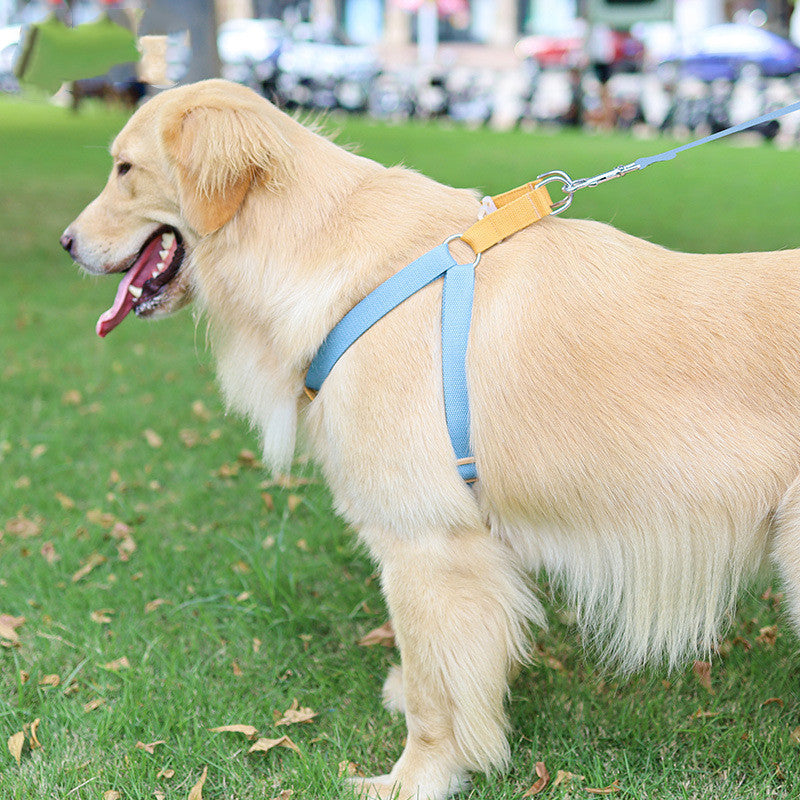 Elevate Your Dog Walking Experience with Our Color Pet Leash Vest-style Dog Leash